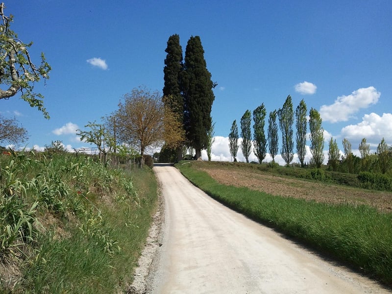 Elegant Tuscan